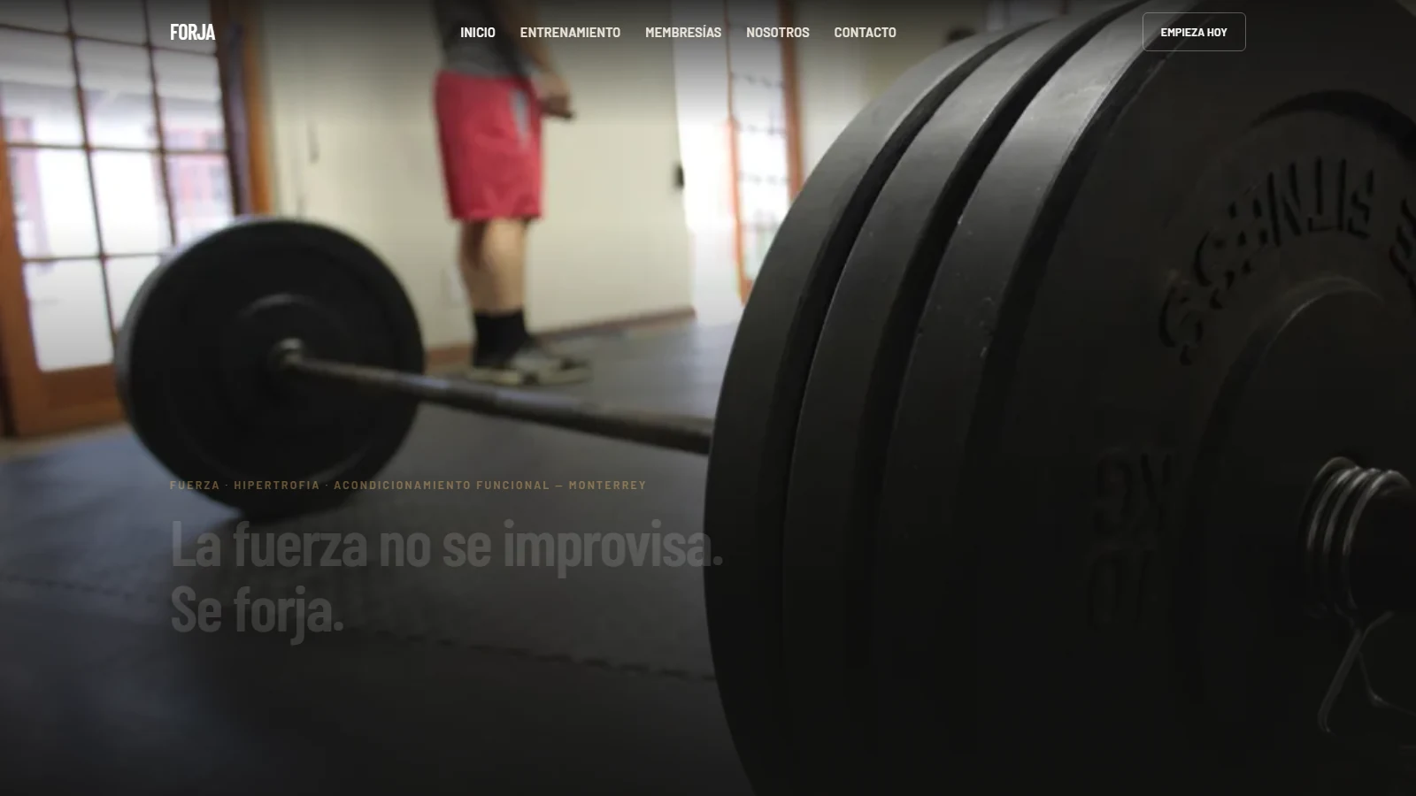 Demo del plan Profesional: Gimnasio
